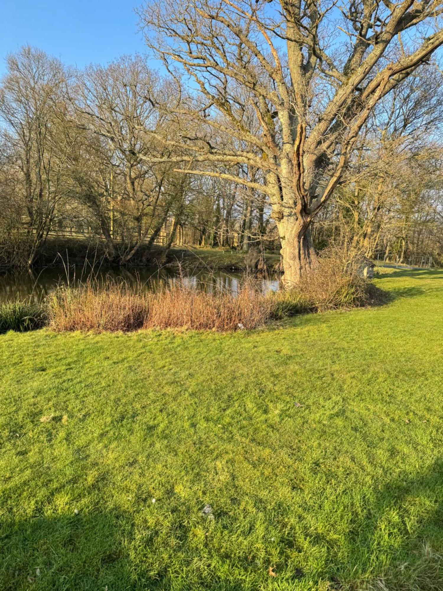 Appartement Waters Edge à Rolvenden Extérieur photo